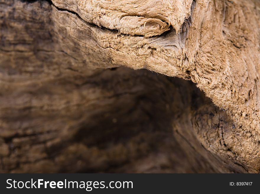 Old, rotten wood. Macro. From river.