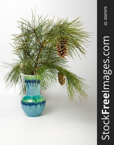 Blue vase, pottery, pine cones  and branch. Blue vase, pottery, pine cones  and branch