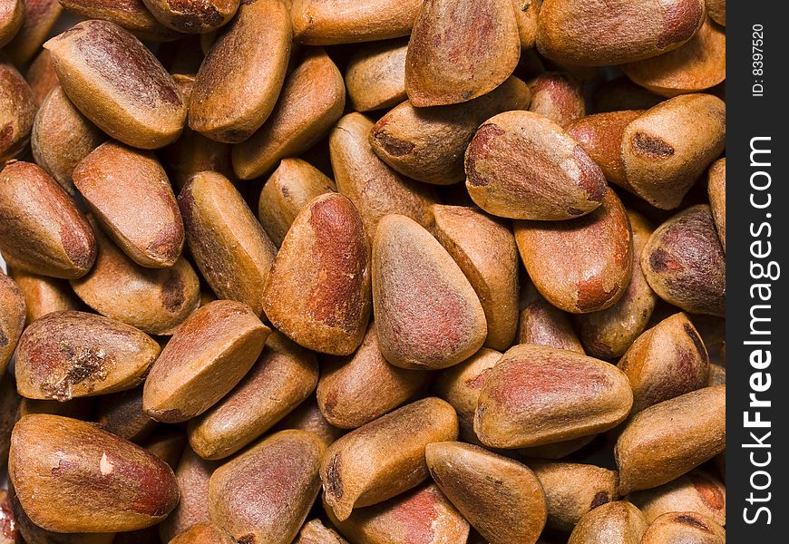 Cedar nut