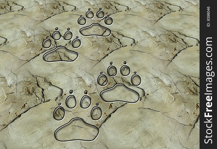 Feral tracks on a stone surface