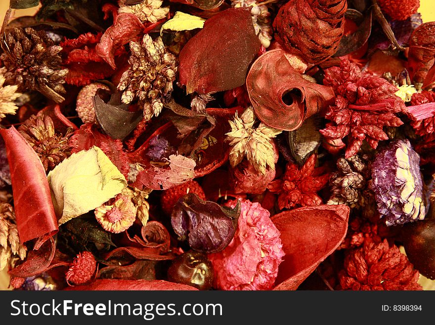 Dry decorative flowers with autumn colors. Dry decorative flowers with autumn colors