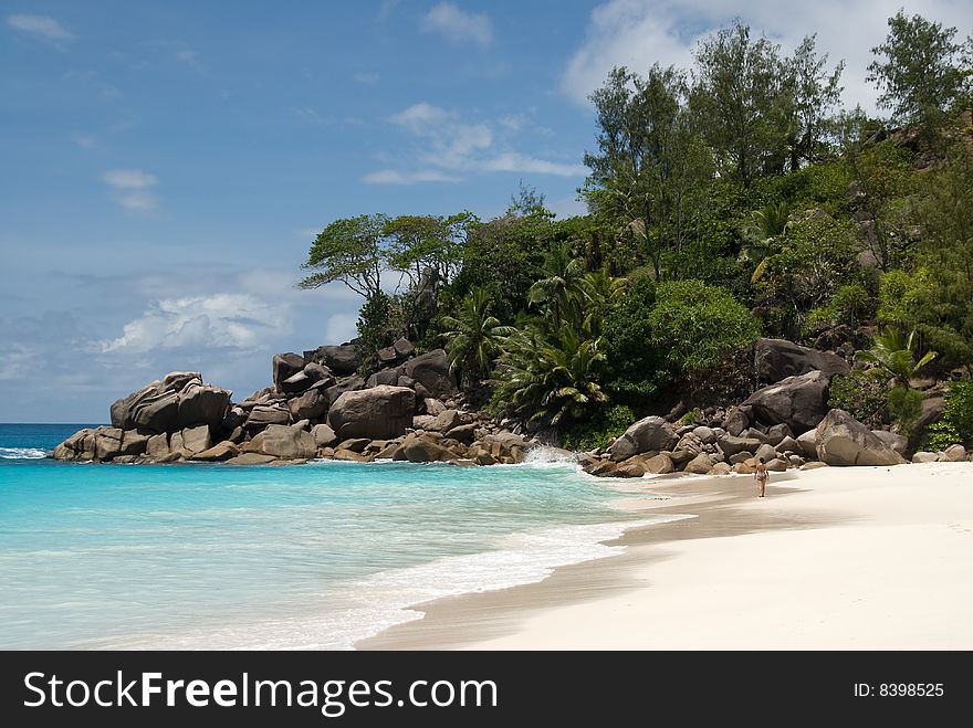 Seychelles stones and palm trees on the bank of azure ocean. Seychelles stones and palm trees on the bank of azure ocean