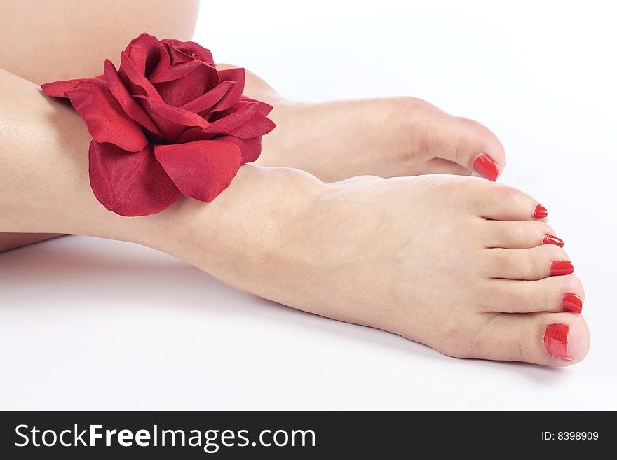 Female Feet And Silk Rose
