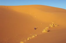Dunes Alone Stock Photography