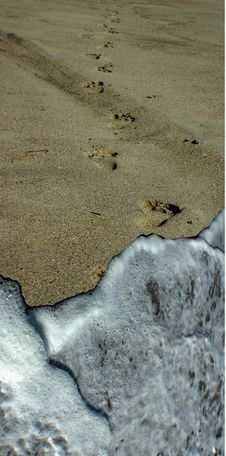 Sand Prints Royalty Free Stock Photography Sand Prints Royalty Free Stock Photography