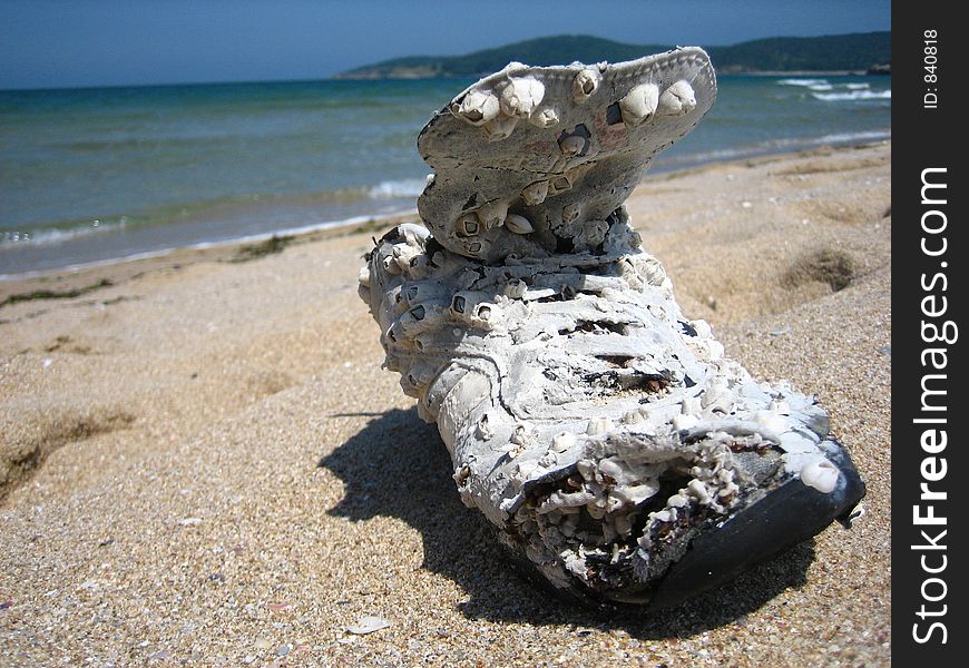 Shoe on the beach in Sozopol, Bulgaria. Shoe on the beach in Sozopol, Bulgaria