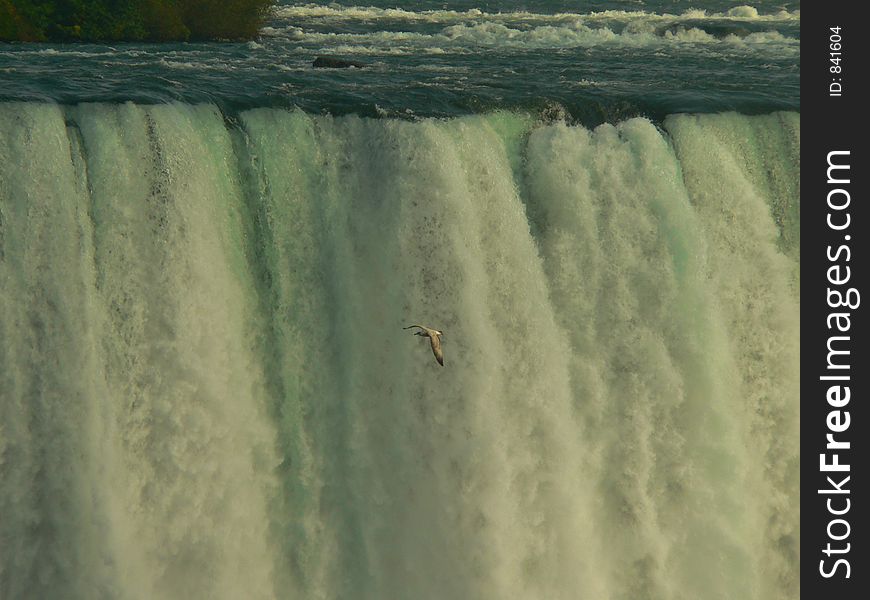 Niagara Falls V