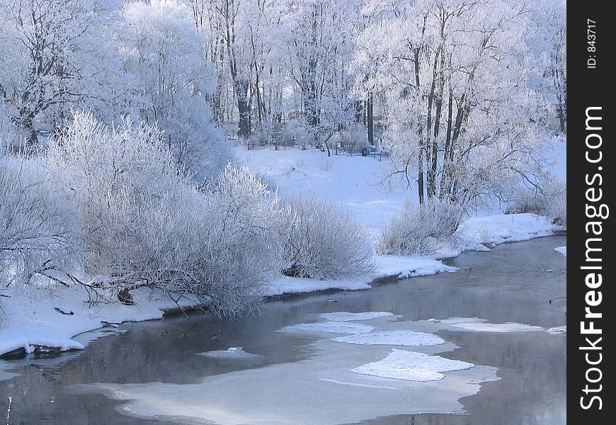 Coast of the small river