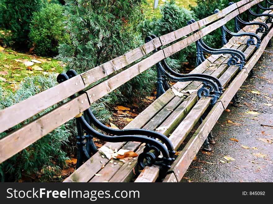 Bench at the park in city