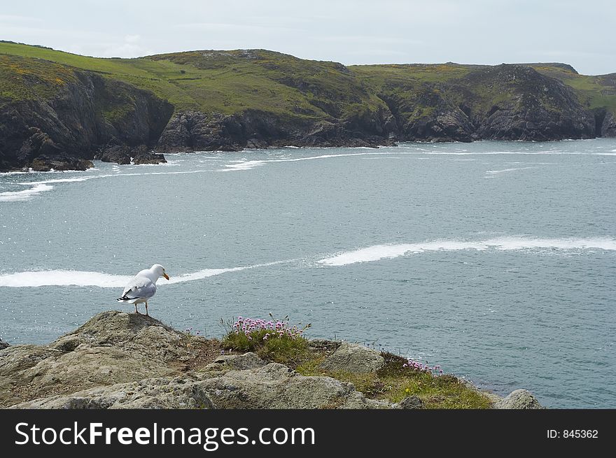 Rocky welsh cove