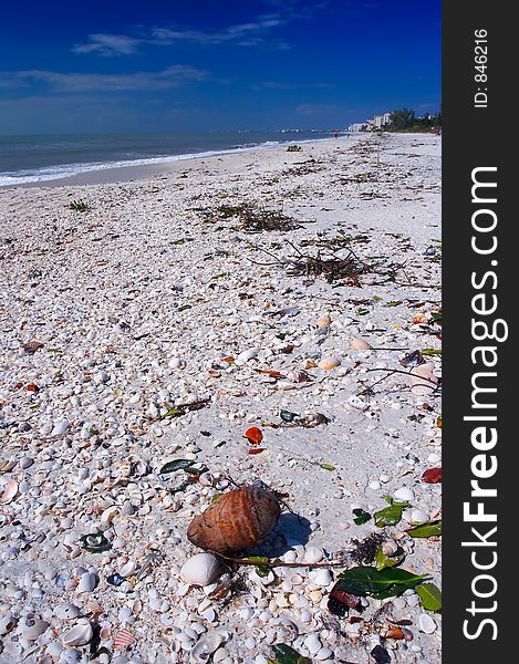 Florida beach after Wilma in 2005