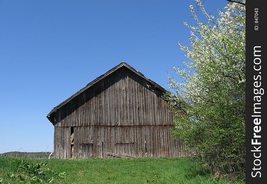 Shed on the blue sky