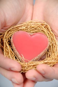 Heart In Hands Royalty Free Stock Photo