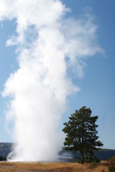 Old Faithful Royalty Free Stock Photos Old Faithful Royalty Free Stock Photos