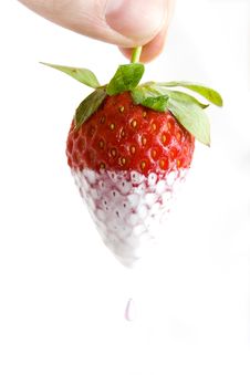 Hand And Dipped Strawberry Stock Image