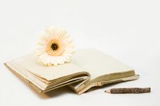 Diary With Opened Sheets And Biege Flower Stock Photo