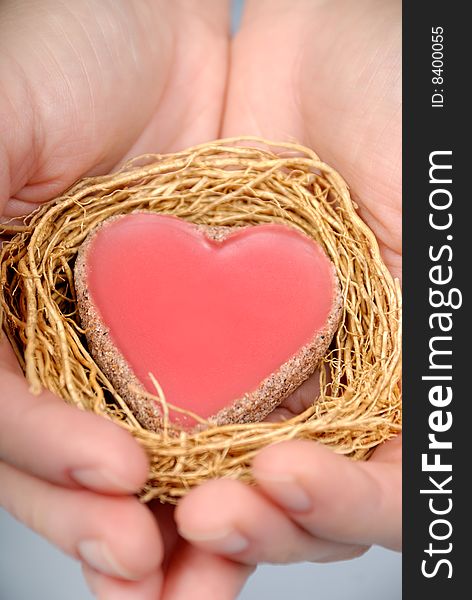 Heart in hands on a blue background