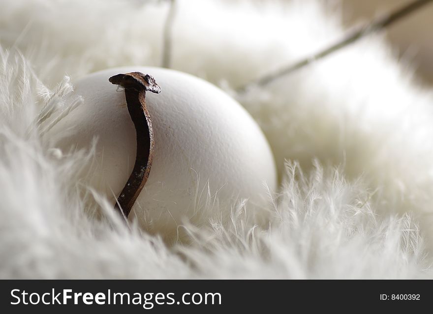 White egg and rusty nail in a pile of feathers. White egg and rusty nail in a pile of feathers