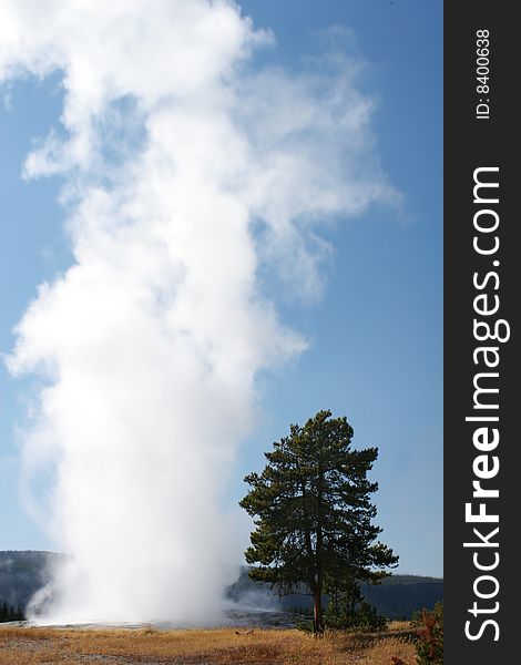 Eruption of Old Faithful geyser, Yellowstone National Park