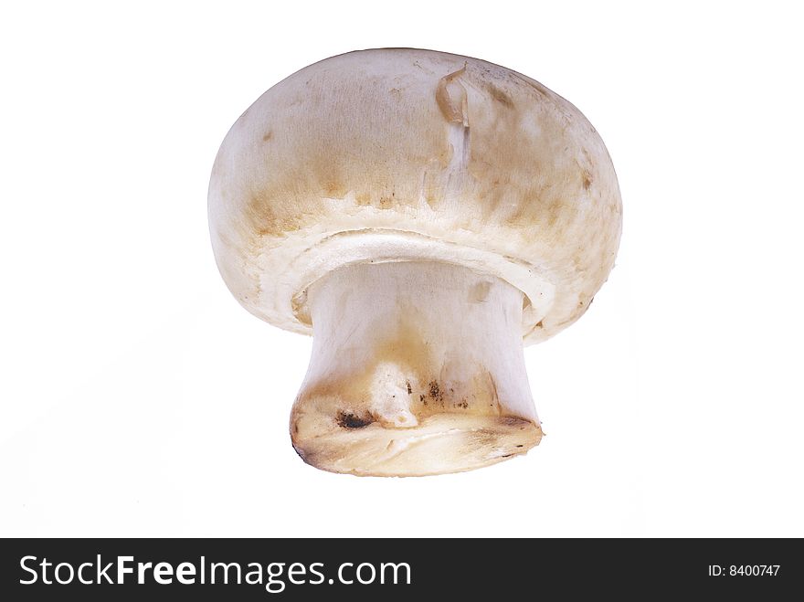 Champignon mushroom isolated.