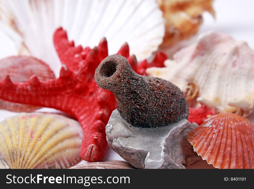 Seashells composition on white background