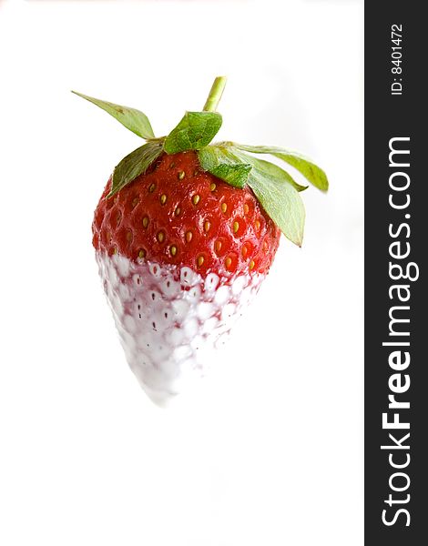 Strawberry Dipped In Cream On White