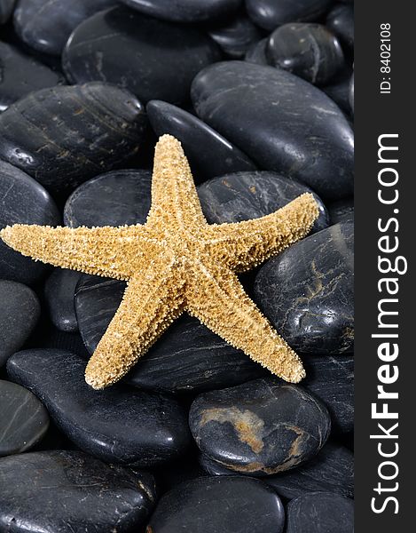 White starfish on pebble background. White starfish on pebble background