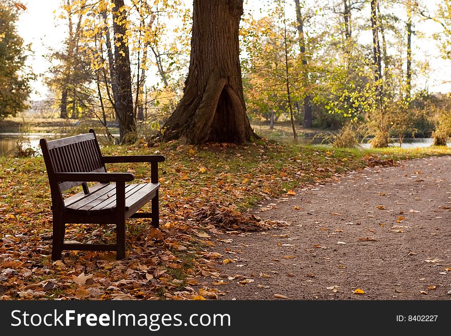 Beautiful and colour autumn scenery in the poland. Beautiful and colour autumn scenery in the poland