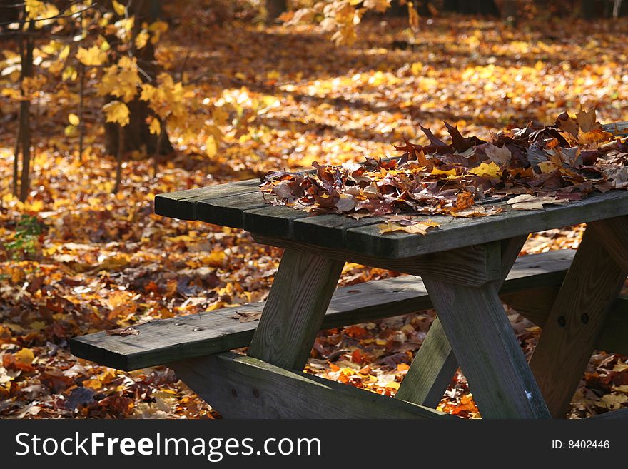 A picnic table covered in the colors of fall. A picnic table covered in the colors of fall.