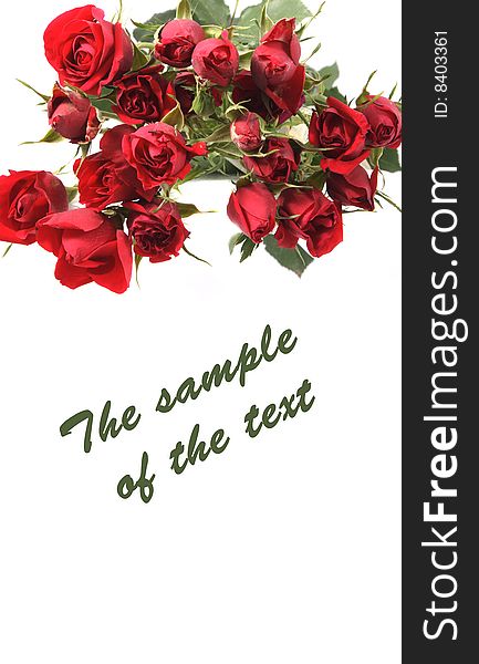 Background with a bouquet of roses of red color and a place for the text. Background with a bouquet of roses of red color and a place for the text.