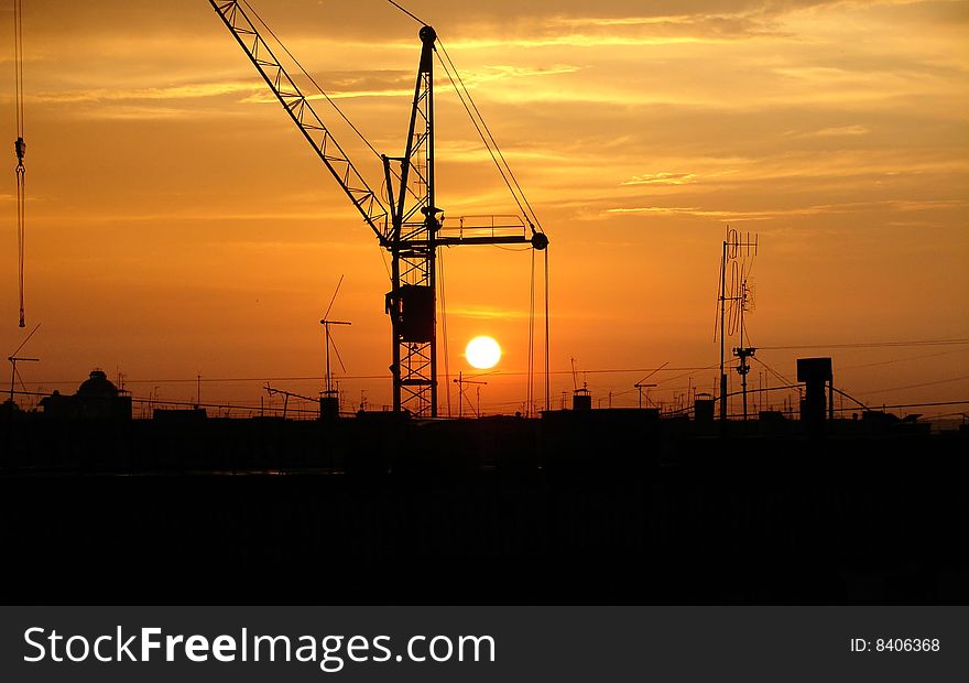 The crane on a background of a solar decline. The crane on a background of a solar decline