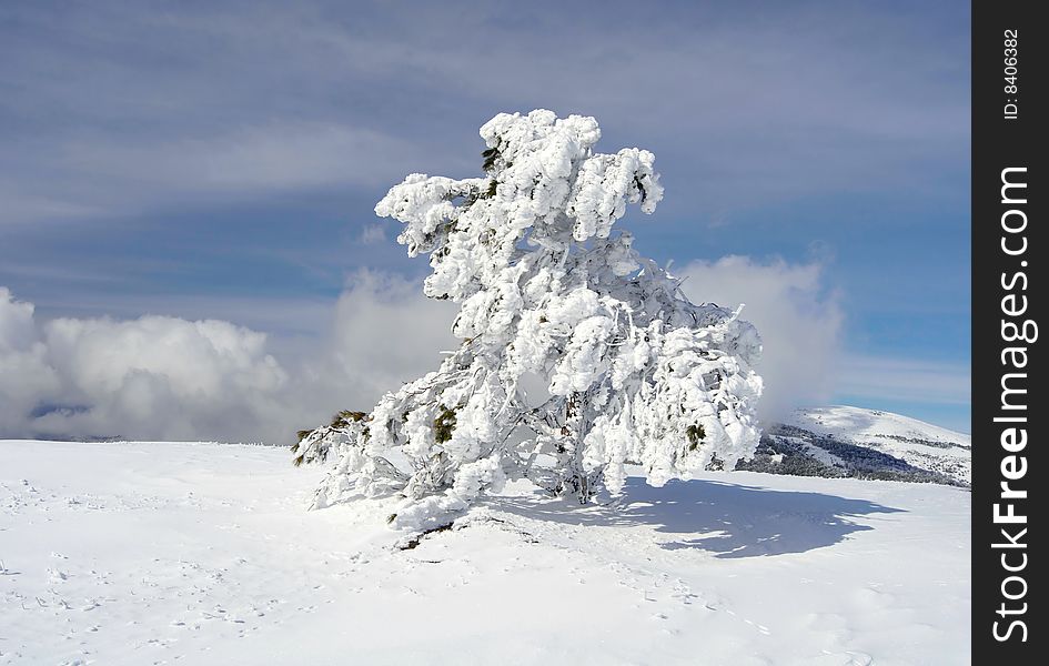 Winter In The Mountains