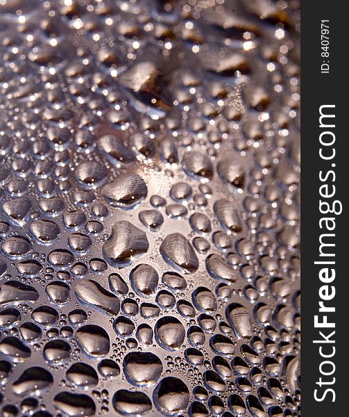 Abstract macro texture with water drops