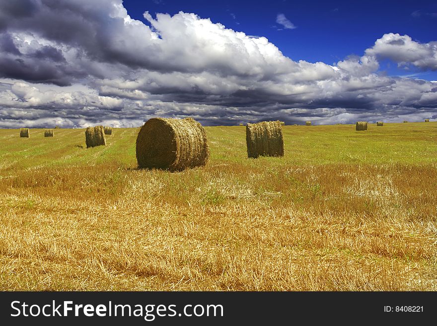 Haystacks on yellow field