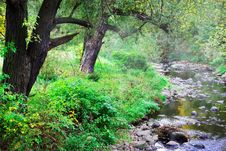 Mountainous Creek Royalty Free Stock Image Mountainous Creek Royalty Free Stock Image