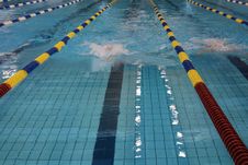 Swimming Competition Royalty Free Stock Photography