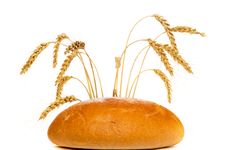Bread With Spikes Stock Photography