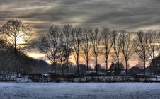 Winter Trees Royalty Free Stock Images Winter Trees Royalty Free Stock Images
