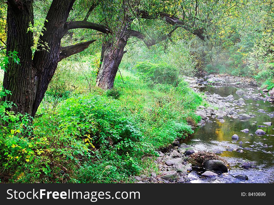 Mountainous creek in early fall time