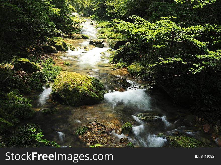 Rivulet In The Forest In ZhangjiaJie National Park