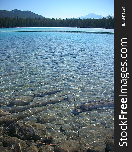 Crystal clear bluish water of a lake in Jasper National Park. Crystal clear bluish water of a lake in Jasper National Park