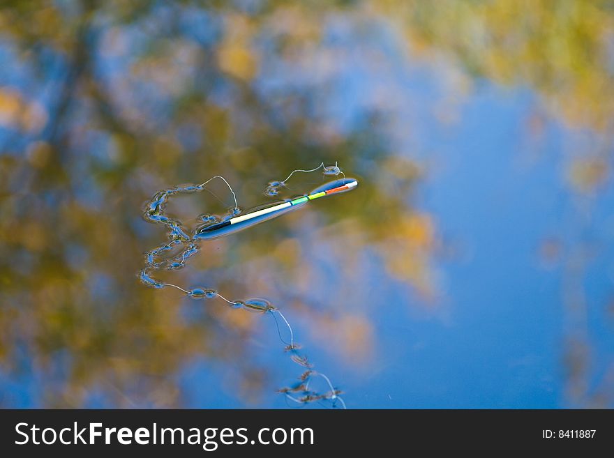 Fishing line on water surface in autumn light