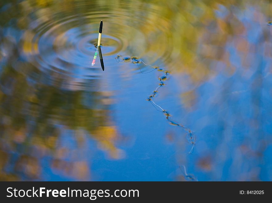 Fishing line on water surface in autumn light