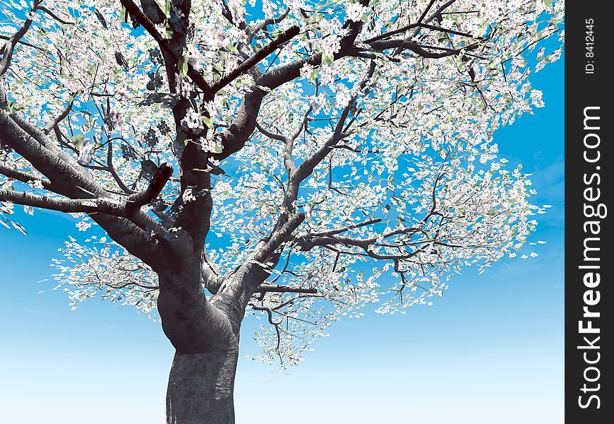 Blossoming cherry-tree. 3 d illustration