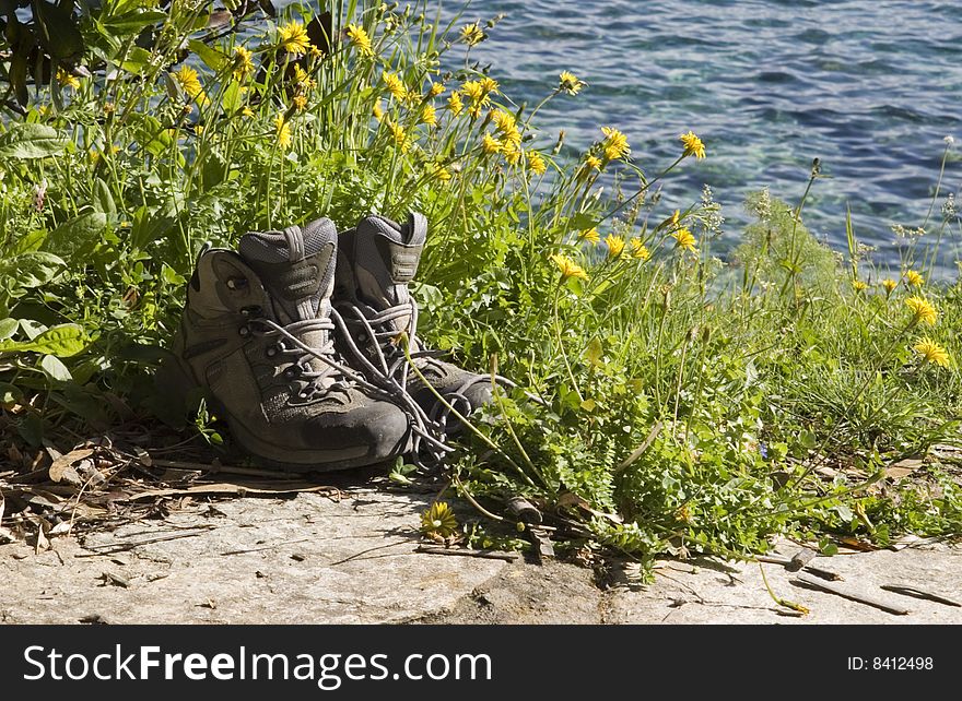 Pair of hiking boots on the ground with yellow flowers and water in the background