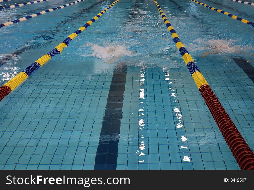 Swimmers in the swimming pool. Swimmers in the swimming pool