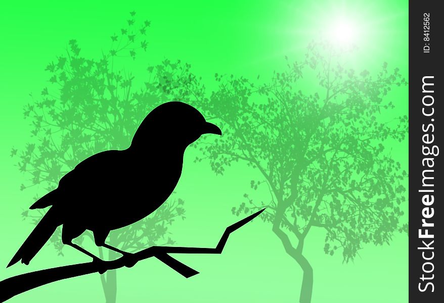 Bird silhouette in a sunny and spring day. Bird silhouette in a sunny and spring day