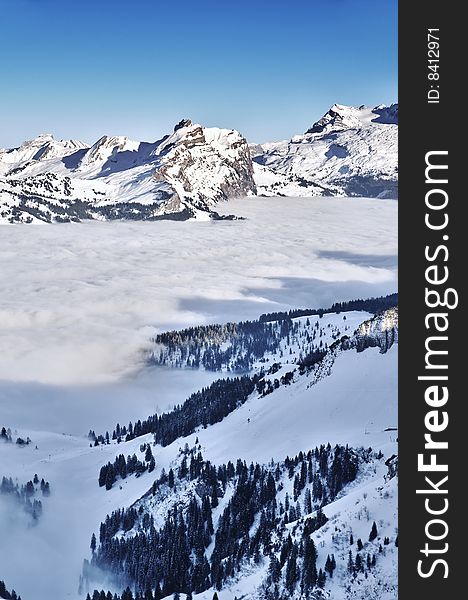 Flying above the alps where the mountain peaks are like islands in a sea of clouds