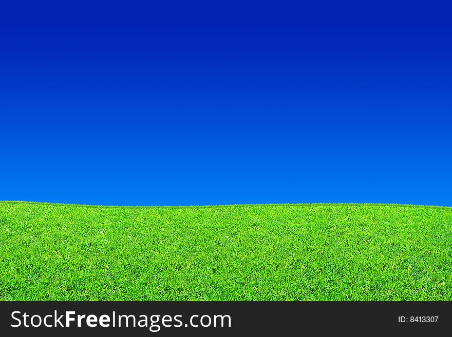Fresh green grass and blue sky background
