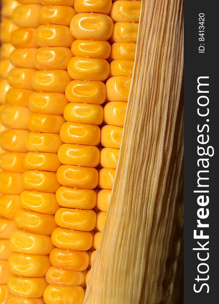 Corn